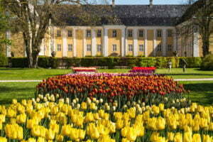 Tulipaner ved Gavnø Slot