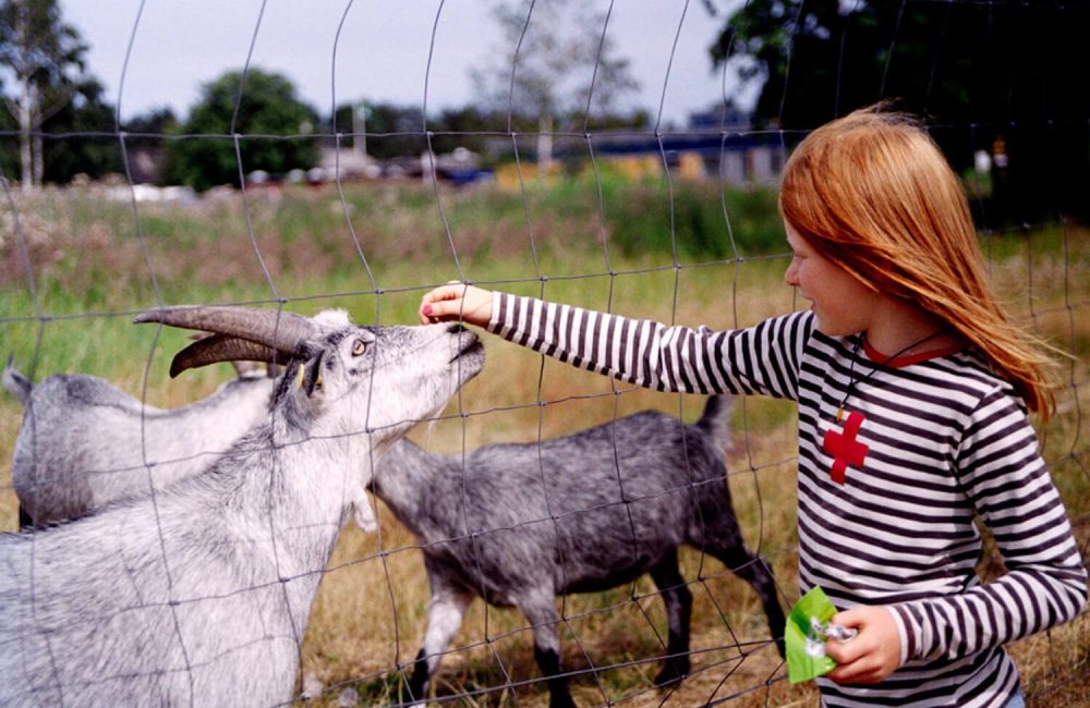 Pige der fodrer geder