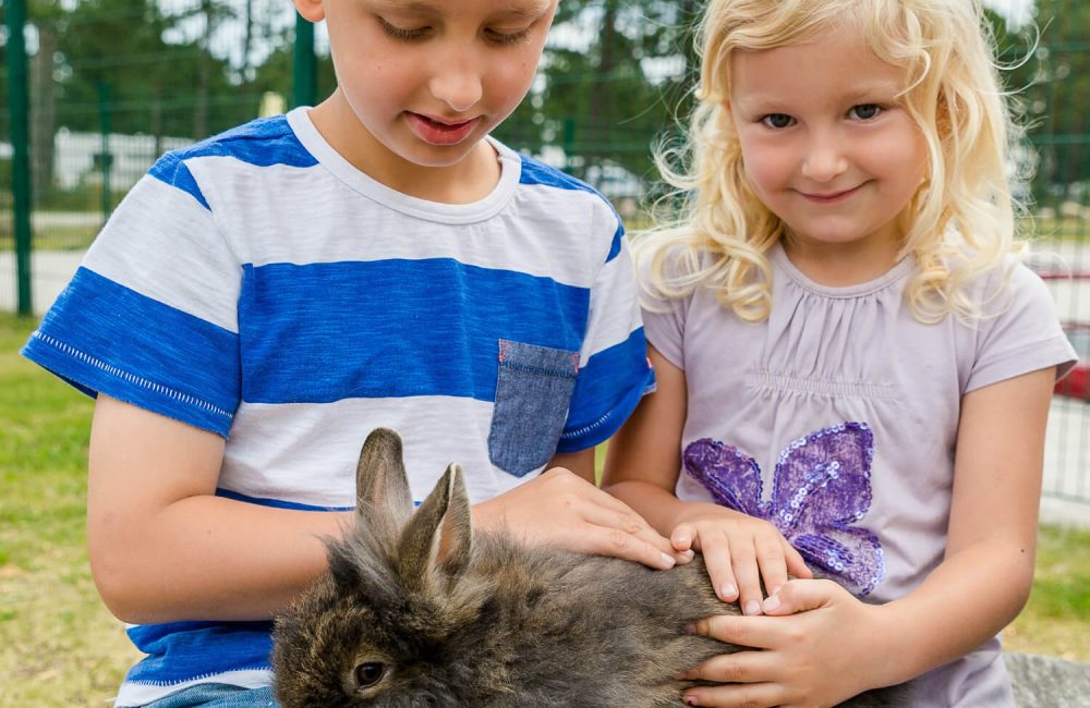 Børn med kanin
