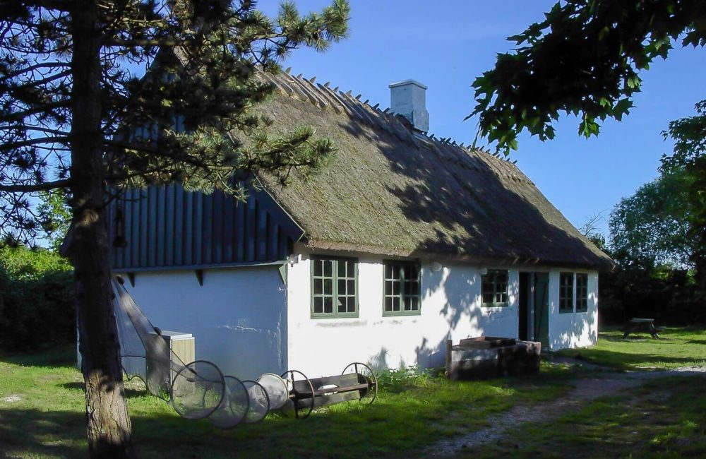 Naturcenter på Feddet