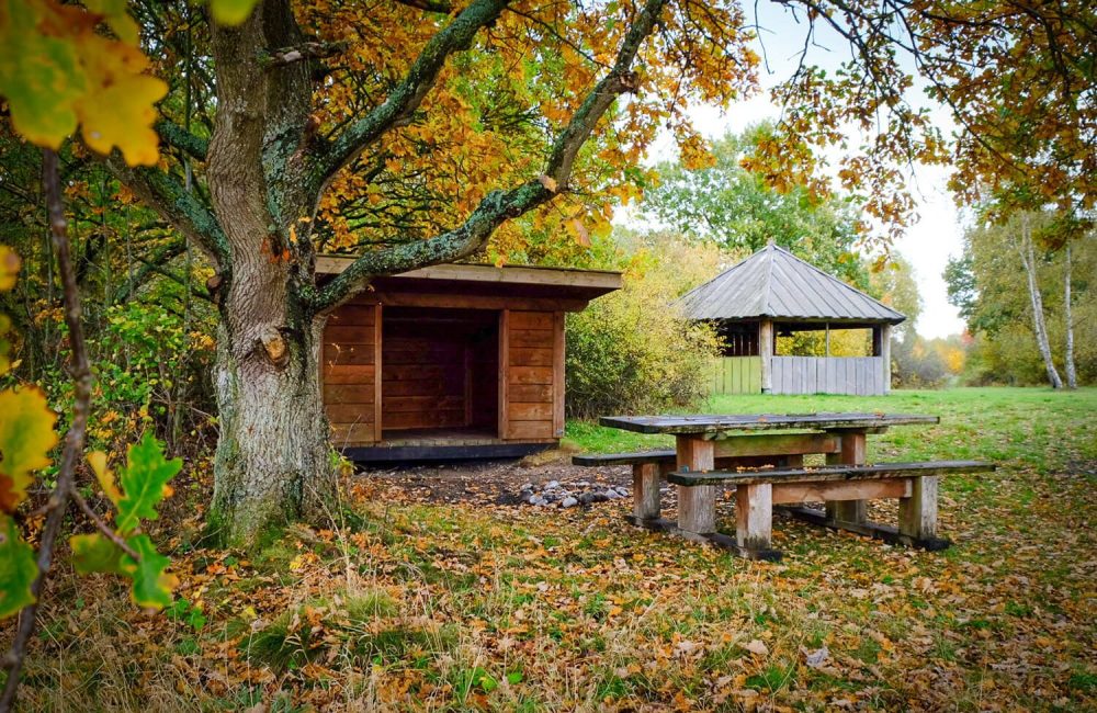 Shelterplads og madpakkehus ved Fedhavnen