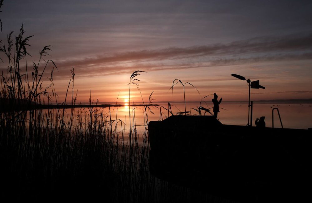 Aftenstemning ved Fedhavnen