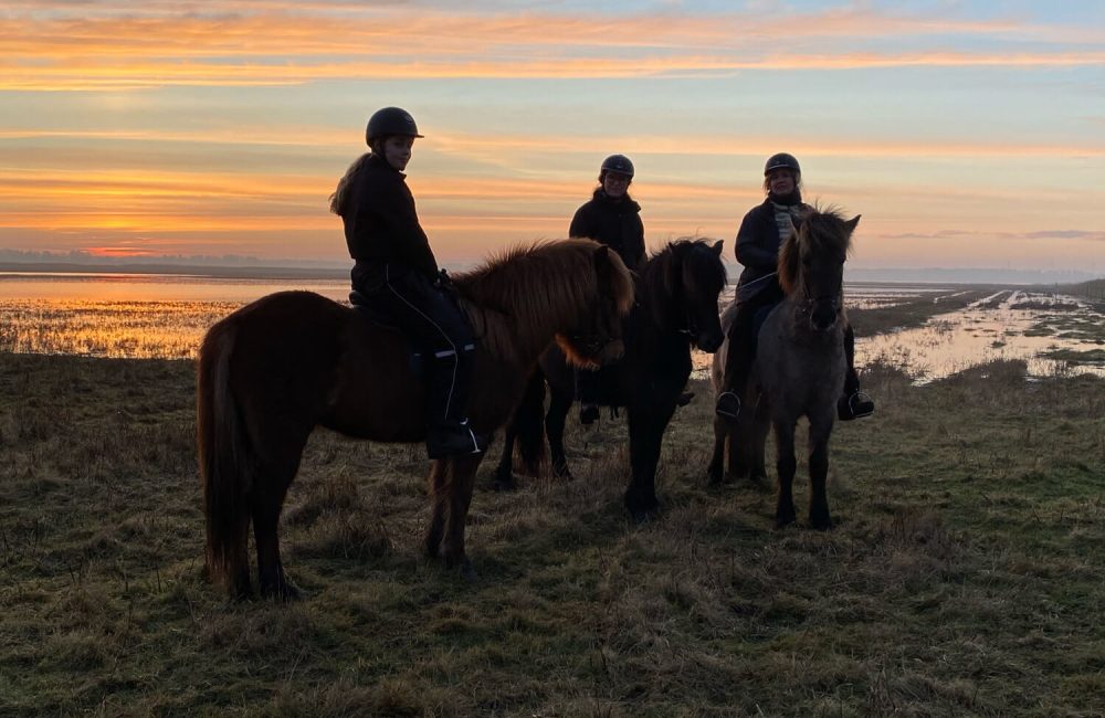 Flot solnedgang på hesteryg