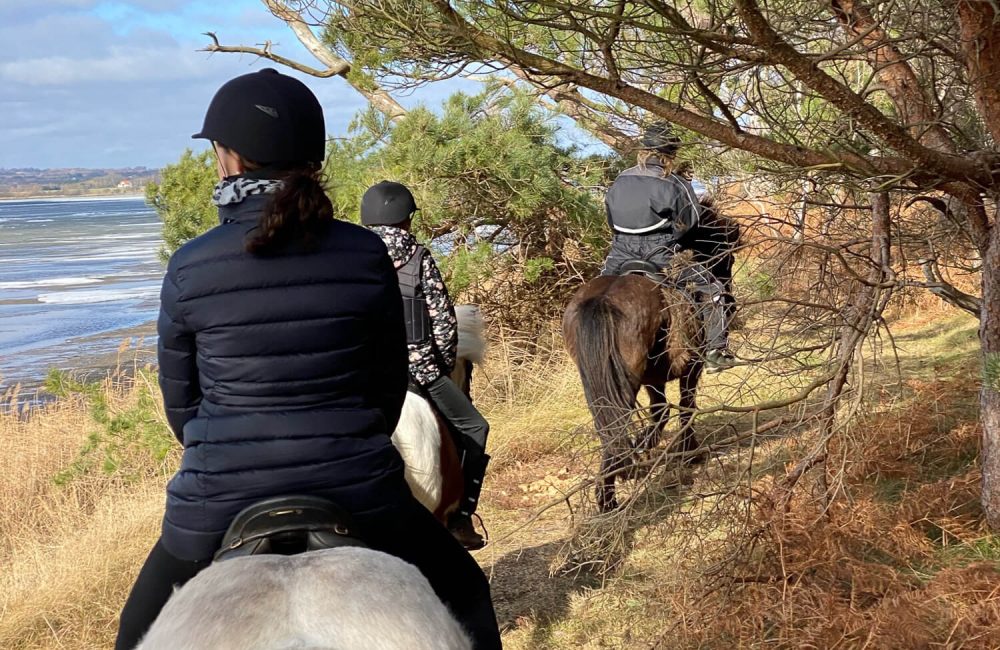 Ferie med rideaktiviteter