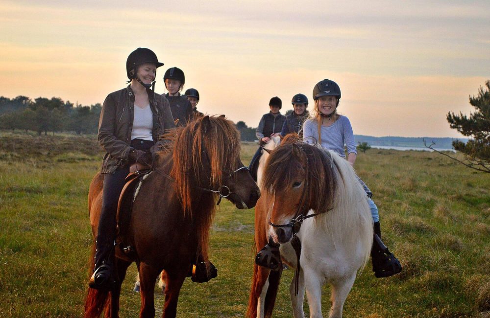 Rid på Islandske heste