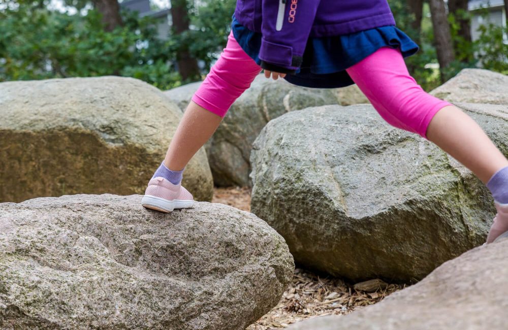 Junglebanen på Feddet