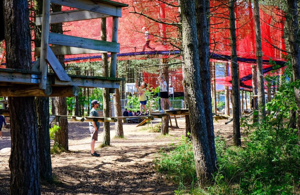 Junglebanen på Feddet