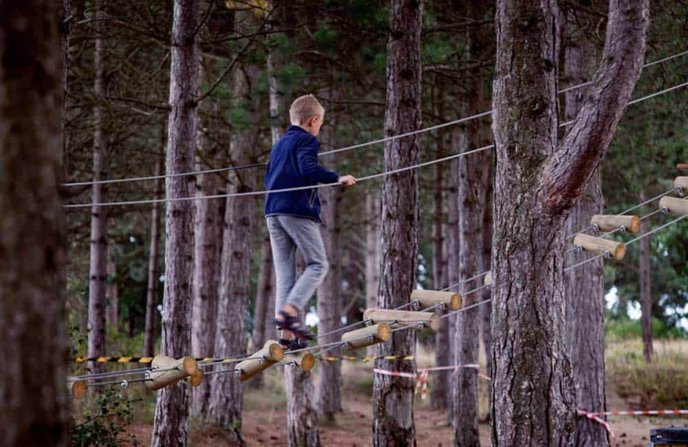 Campingplads med tarzanbane