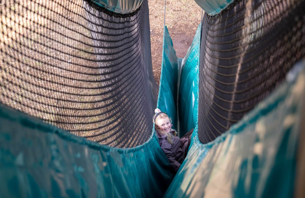 netland-foraar-2023-6