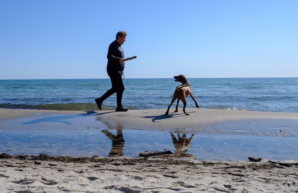 Mand lufter hunden på stranden